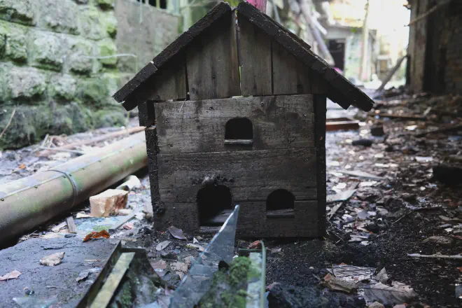 Bird house.